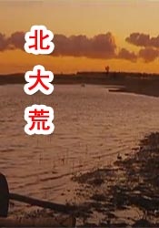 狠狠插狠狠操